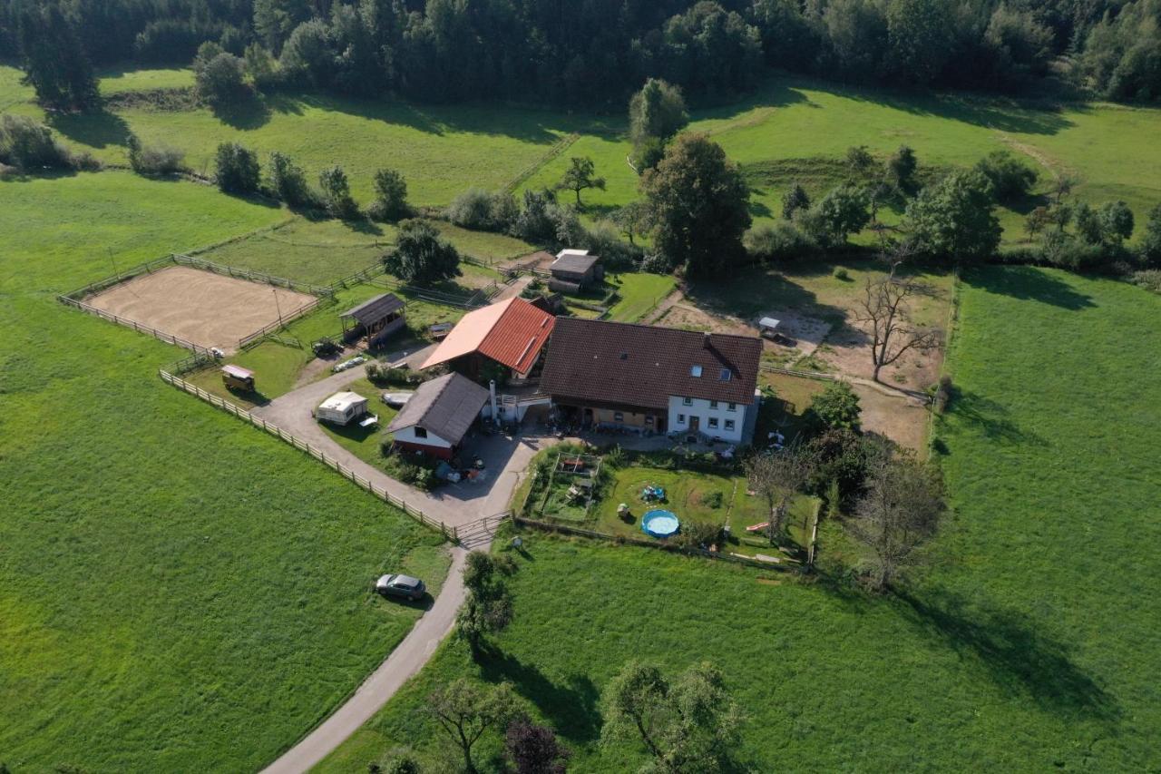 Carlo Apartment Wangen im Allgaeu Bagian luar foto