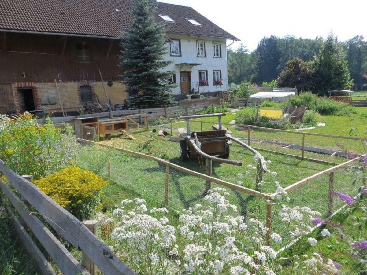 Carlo Apartment Wangen im Allgaeu Bagian luar foto