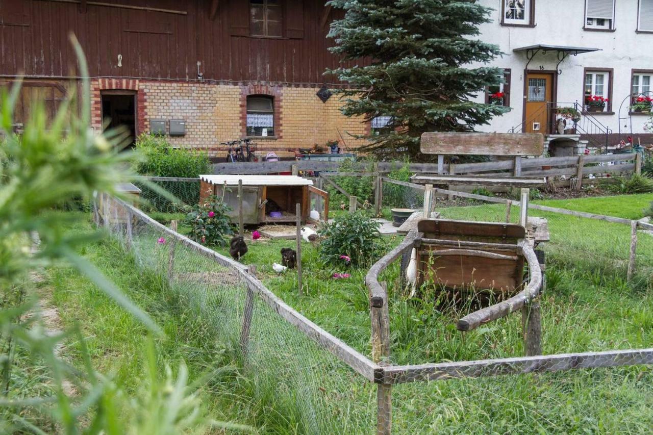 Carlo Apartment Wangen im Allgaeu Bagian luar foto