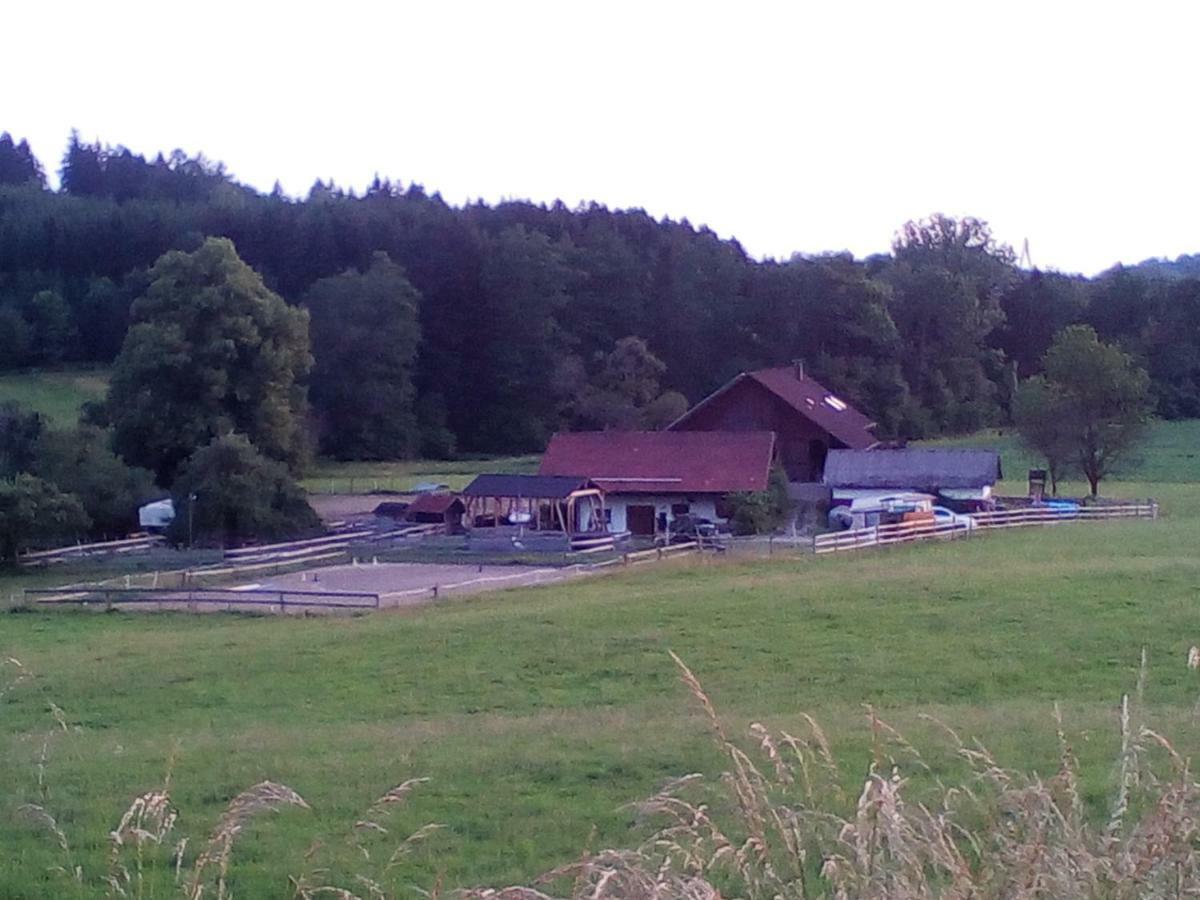 Carlo Apartment Wangen im Allgaeu Bagian luar foto